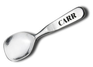 CARR's Ice Cream Scoop